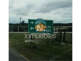 https://www.gallito.com.uy/campo-a-pocos-metros-de-ruta-nacional-numero-9-inmuebles-26380957