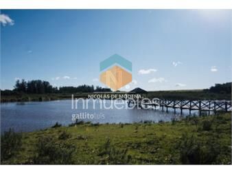https://www.gallito.com.uy/chacra-importante-en-r-39-con-700-m2-construidos-inmuebles-25014283