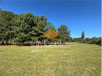 https://www.gallito.com.uy/dos-terrenos-en-venta-en-chacras-del-pinar-–-primera-etapa-inmuebles-27161492