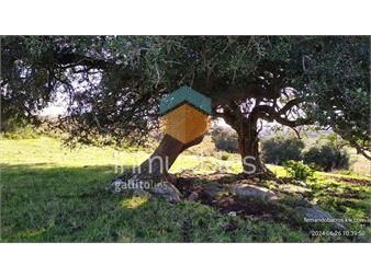 https://www.gallito.com.uy/oportunidad-chacra-20-ha-venta-en-las-sierras-de-garzon-inmuebles-25648898