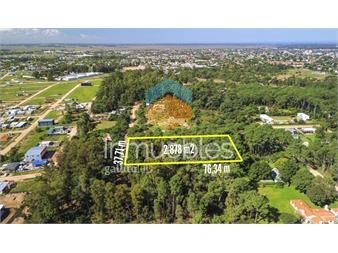 https://www.gallito.com.uy/venta-de-terreno-de-2879-m²-parque-burnett-pinares-inmuebles-27161976