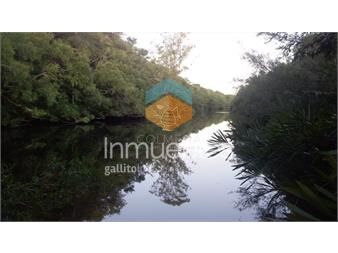 https://www.gallito.com.uy/campo-24-has-casa-galpon-luz-costa-de-arroyo-y-un-indice-inmuebles-27161996