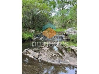 https://www.gallito.com.uy/campo-en-carape-con-hermosa-cañada-oportunidad-inmuebles-23094717