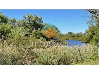 https://www.gallito.com.uy/se-venden-3-chacras-por-separado-a-15-km-de-san-carlos-inmuebles-26302523