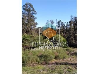 https://www.gallito.com.uy/venta-terrenos-en-nuevo-fraccionamiento-punta-inmuebles-24614221