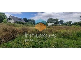 https://www.gallito.com.uy/venta-terreno-450-m2-financiado-inmuebles-26836348