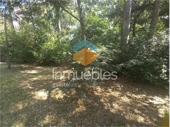 https://www.gallito.com.uy/venta-terreno-arbolado-a-metros-de-la-playa-inmuebles-27156355