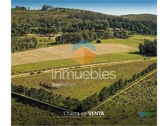 https://www.gallito.com.uy/oferton-1-hectarea-a-20-minutos-de-punta-inmuebles-26150832