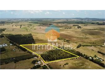 https://www.gallito.com.uy/chacra-con-mas-de-1-hectarea-de-bosque-ref-inmuebles-23973160