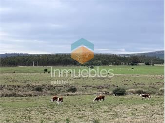https://www.gallito.com.uy/campo-de-22-has-6862-m2-cerca-de-punta-del-este-inmuebles-25155165