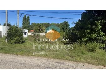 https://web5.gallito.com.uy/terreno-en-venta-en-marly-punta-del-este-inmuebles-27195910