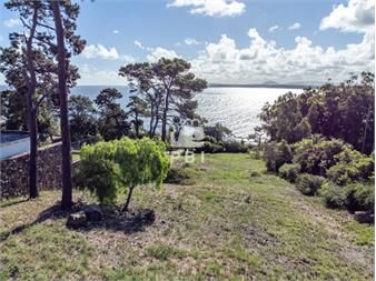 https://www.gallito.com.uy/terreno-en-venta-en-el-lomo-de-la-ballena-ref-inmuebles-26969402
