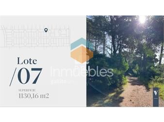 https://www.gallito.com.uy/terreno-en-venta-en-barrio-privado-ref-inmuebles-27212467