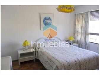 https://www.gallito.com.uy/apartamento-en-peninsula-3-dormitorios-inmuebles-17597185
