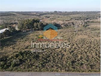 https://www.gallito.com.uy/chacra-de-5-has-en-melilla-sobre-camino-ah-7323-inmuebles-25816972