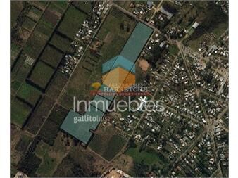 https://www.gallito.com.uy/terreno-en-paso-de-la-arena-77000-m2-unicos-en-inmuebles-26228578