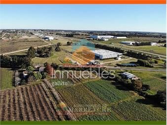 https://www.gallito.com.uy/venta-de-terreno-8-has-a-metros-de-ruta-5-inmuebles-22191056