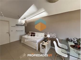 https://www.gallito.com.uy/alquiler-anual-1-dormitorio-punta-del-este-inmuebles-27136267