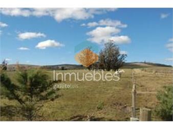 https://www.gallito.com.uy/campo-de-11-has-en-camino-a-zanja-de-chavez-abra-inmuebles-22908787