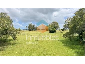 https://www.gallito.com.uy/campo-de-5-has-y-media-inmuebles-27212527