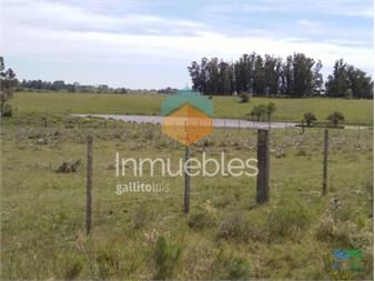 https://www.gallito.com.uy/7-has-a-200-mts-de-cno-sainz-martinez-jose-inmuebles-22538514