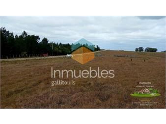 https://www.gallito.com.uy/campo-de-calidad-a-minutos-de-jose-ignacio-y-inmuebles-27234867
