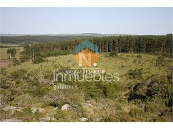 https://www.gallito.com.uy/chacra-de-5-has-en-venta-a-solo-23-km-de-garzon-inmuebles-23759246