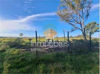 https://www.gallito.com.uy/venta-de-lote-eden-rock-ref-pbi14736-inmuebles-27206126