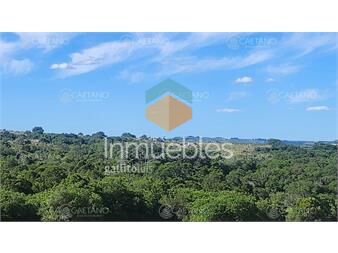 https://www.gallito.com.uy/campo-60-hs-en-pueblo-eden-ruta-12-inmuebles-26691287