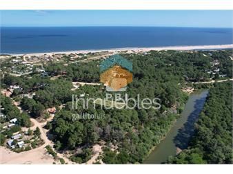 https://www.gallito.com.uy/terreno-en-chihuahua-punta-ballena-ref-inmuebles-24324278