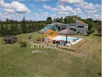 https://www.gallito.com.uy/chacra-en-las-violetas-2-has-con-casa-barbacoa-inmuebles-27003825