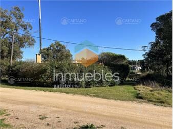 https://www.gallito.com.uy/terreno-en-el-chorro-sobre-calle-brotolas-501m2-inmuebles-25807938