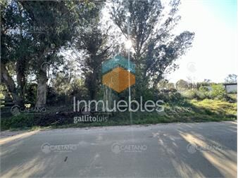 https://www.gallito.com.uy/terreno-en-venta-en-el-chorro-inmuebles-25807936