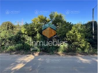 https://www.gallito.com.uy/terreno-en-venta-en-el-chorro-inmuebles-25807937