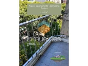 https://www.gallito.com.uy/se-alquila-apartamento-de-1-dormitorio-pocitos-inmuebles-27261146