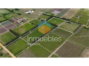 https://www.gallito.com.uy/venta-casa-chacra-terreno-campo-financiado-inmuebles-27261641