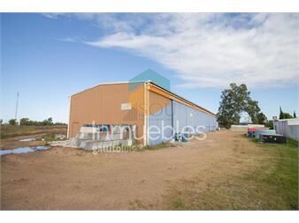 https://www.gallito.com.uy/venta-terreno-y-nave-en-ruta-101-con-muchos-extras-inmuebles-27261733