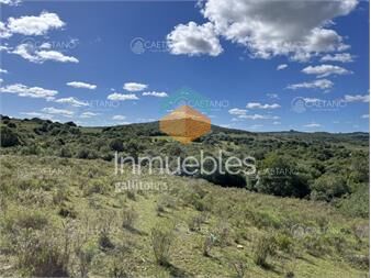 https://www.gallito.com.uy/venta-chacras-pueblo-eden-ruta-12-maldonado-inmuebles-27183785