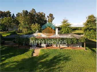 https://www.gallito.com.uy/chacra-en-melilla-3-has-hermoso-casco-piscina-inmuebles-27156913