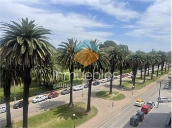 https://www.gallito.com.uy/parodi-apartamento-frente-al-club-de-golf-excelente-plant-inmuebles-26809333