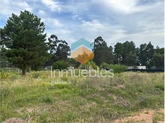 https://www.gallito.com.uy/lote-de-1000m2-en-chacras-del-pinar-inmuebles-26831743