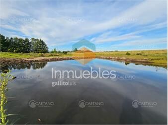 https://www.gallito.com.uy/venta-chacra-pueblo-eden-ruta-12-maldonado-inmuebles-27031566