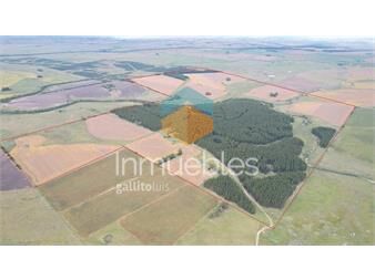 https://www.gallito.com.uy/venta-campo-soriano-291-hect-inmuebles-27205489