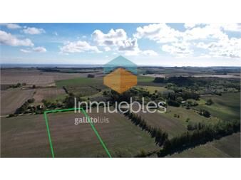 https://www.gallito.com.uy/chacra-en-el-corazon-de-san-pedrocolonia-lote-e-inmuebles-27261122