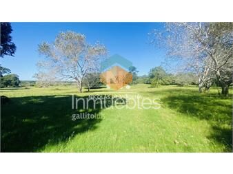 https://www.gallito.com.uy/hermosa-chacra-de-4-hectareas-en-ubicacion-en-inmuebles-25373650