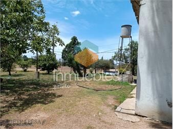 https://www.gallito.com.uy/chacra-en-alquiler-sobre-ruta-5-melilla-inmuebles-25881227