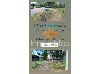 https://www.gallito.com.uy/venta-de-terreno-en-paso-de-carrasco-ciudad-de-inmuebles-27272927