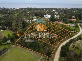https://www.gallito.com.uy/vende-terreno-en-el-golf-punta-del-este-inmuebles-27273263