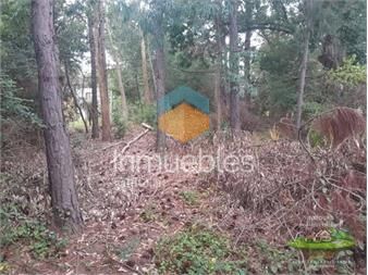 https://www.gallito.com.uy/venta-terreno-en-playa-verde-piriapolis-inmuebles-27273678