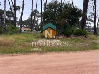 https://web5.gallito.com.uy/vende-terreno-en-reserva-montoya-inmuebles-27278402